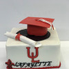 Graduation Cakes